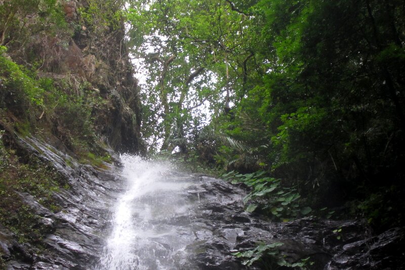 Waterfall in Forest — Green, Natural, Photograph, Trees, Rocks, Stream