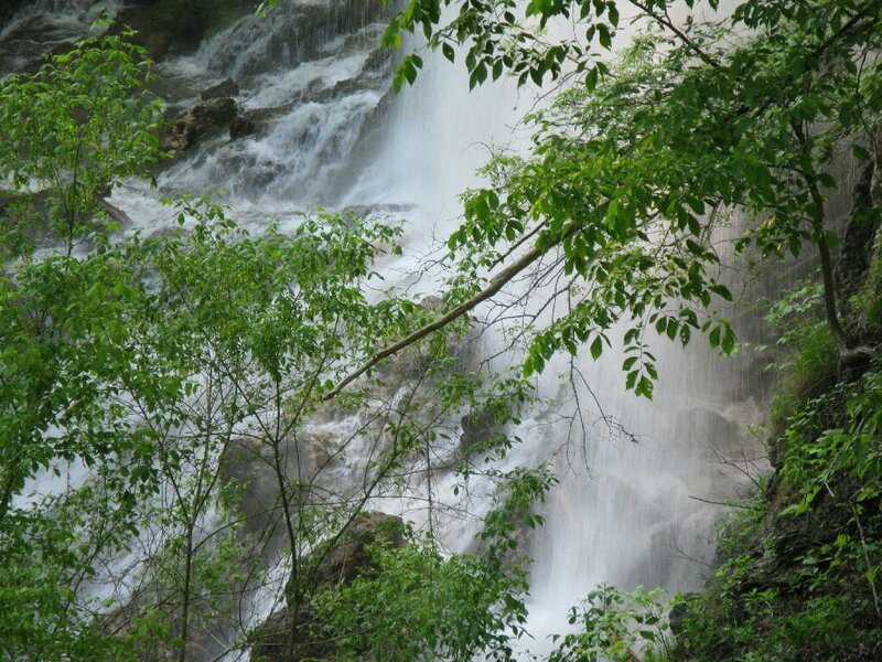 Waterfall in Forest — Green, Natural, Photograph, Trees, Rocks, Water