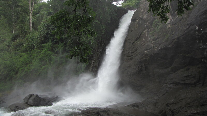 Waterfall in Forest — Green, Natural, Photograph, Trees