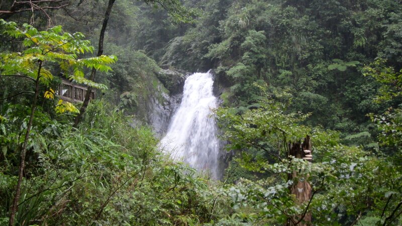 Waterfall in Forest — Green, Natural, Photograph, Trees, Wooden Walkway