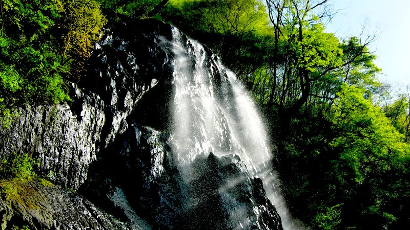 Waterfall in Forest — Green, Natural, Spring, Photograph