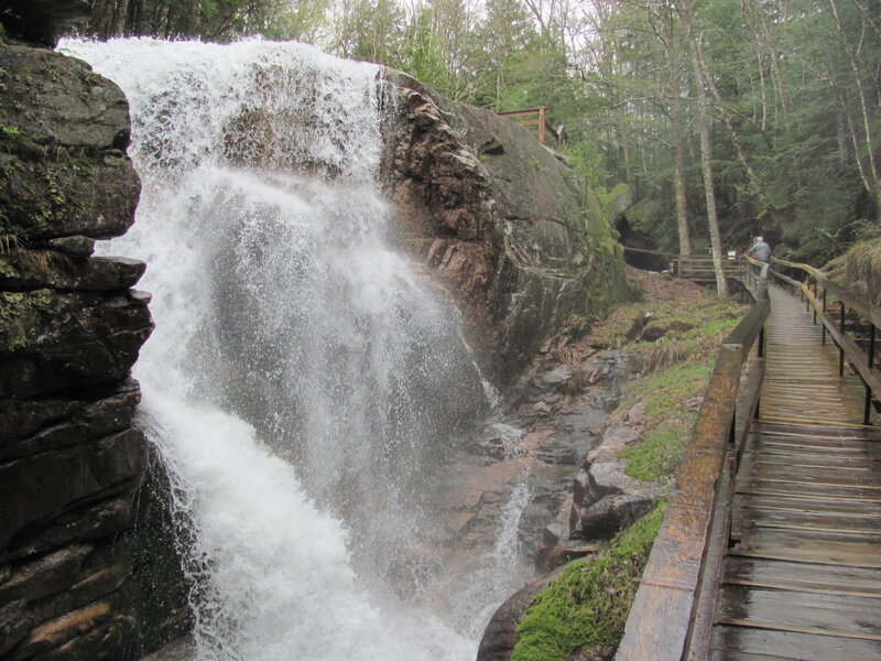 Waterfall in Forest — Green, Natural, Spring