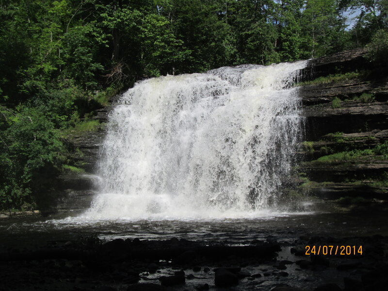 Waterfall in Forest — Green, Natural, Summer, Photograph