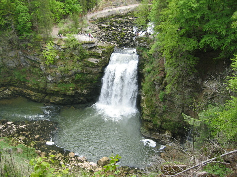 Waterfall in Forest — Green, Natural, Summer