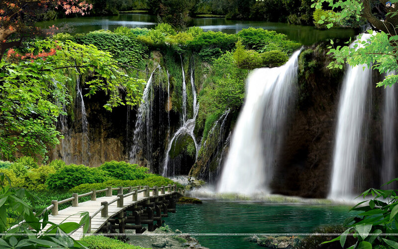 Waterfall in Forest — Green, Serene, Afternoon, Photograph, Bridge, Trees, River, Plants