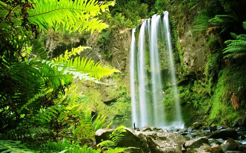 Waterfall in Forest — Green, Serene, Afternoon, Photograph, Fern