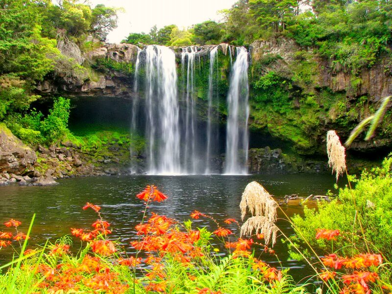 Waterfall in Forest — Green, Serene, Afternoon, Photograph, Flowers, Pool