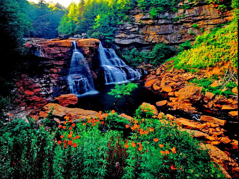 Waterfall in Forest — Green, Serene, Afternoon, Photograph, Flowers