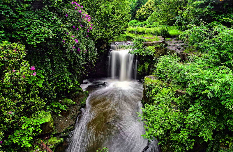 Waterfall in Forest — Green, Serene, Afternoon, Photograph, Flowers, Trees, Rocks