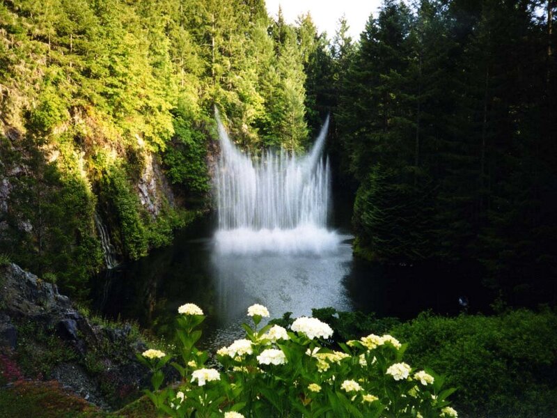 Waterfall in Forest — Green, Serene, Afternoon, Photograph, Flowers, Trees