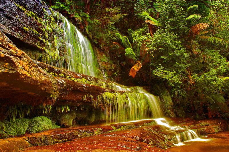 Waterfall in Forest — Green, Serene, Afternoon, Photograph, Moss, Fern