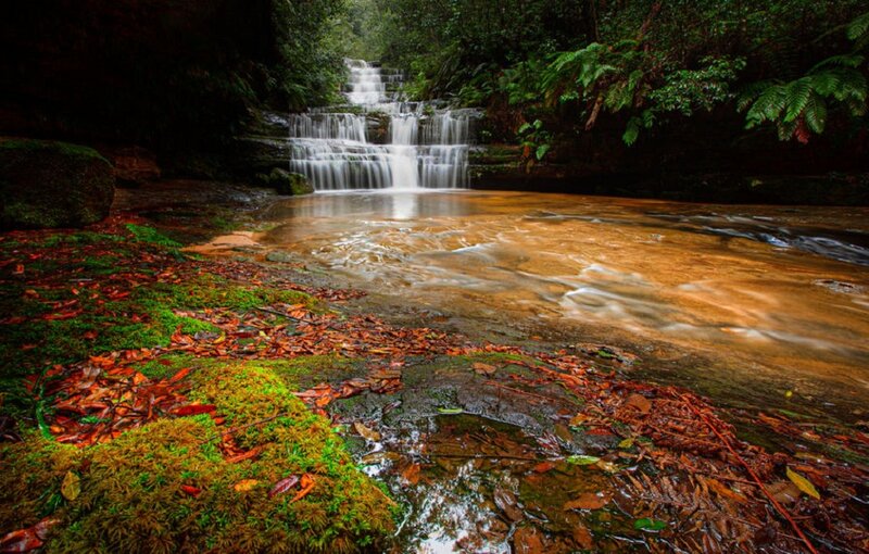 Waterfall in Forest — Green, Serene, Afternoon, Photograph, Moss, Leaves