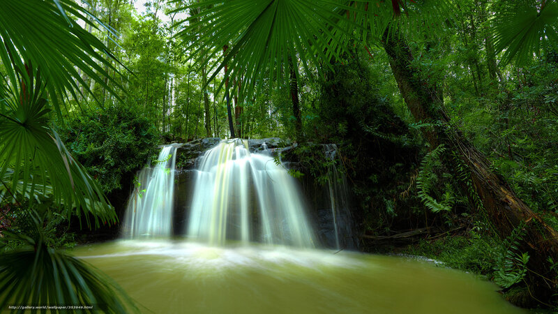Waterfall in Forest — Green, Serene, Afternoon, Photograph, Palm Leaves