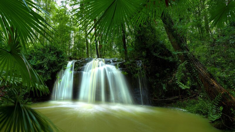 Waterfall in Forest — Green, Serene, Afternoon, Photograph, Palm Trees, Rocks