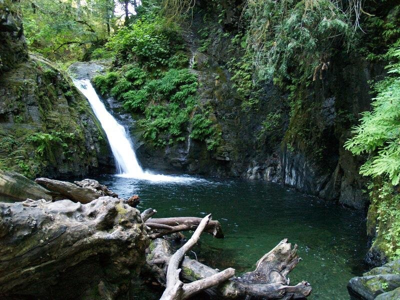 Waterfall in Forest — Green, Serene, Afternoon, Photograph, Pool, Trees, Logs