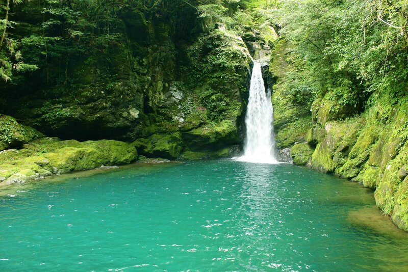 Waterfall in Forest — Green, Serene, Afternoon, Photograph, Pool, Trees