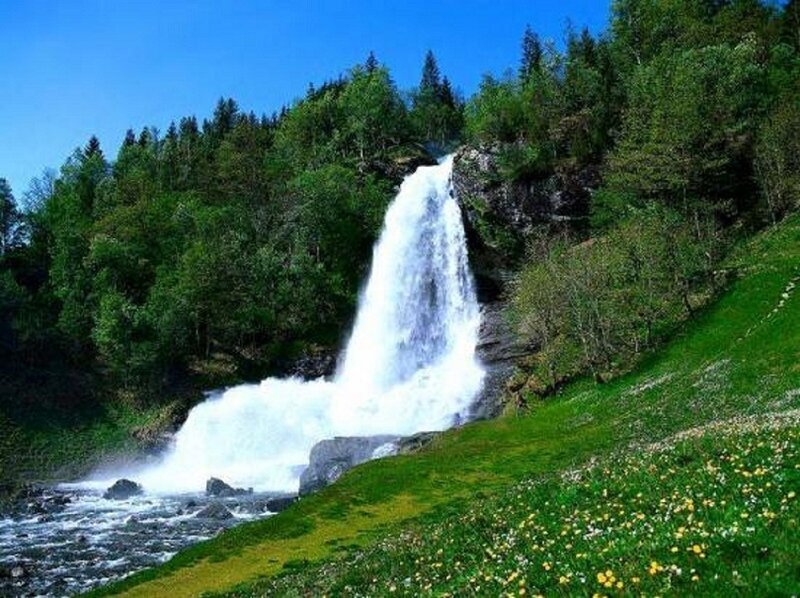 Waterfall in Forest — Green, Serene, Afternoon, Photograph, River, Flowers