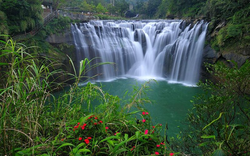 Waterfall in Forest — Green, Serene, Afternoon, Photograph, River, Plants, Flowers