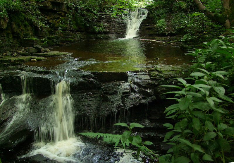 Waterfall in Forest — Green, Serene, Afternoon, Photograph, River, Rocks, Plants