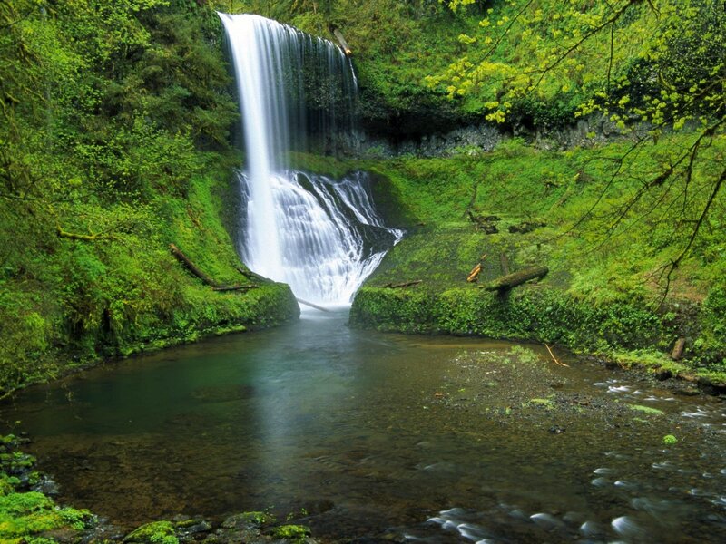 Waterfall in Forest — Green, Serene, Afternoon, Photograph, River, Trees, Moss