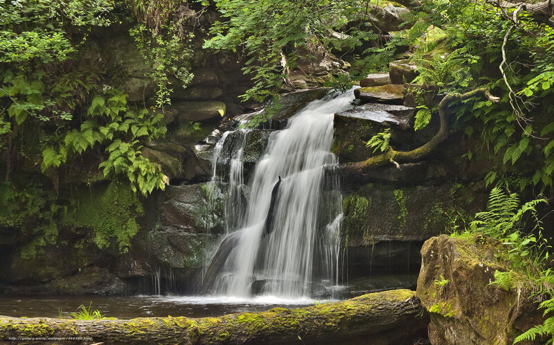 Waterfall in Forest — Green, Serene, Afternoon, Photograph, Rocks, Ferns, Moss