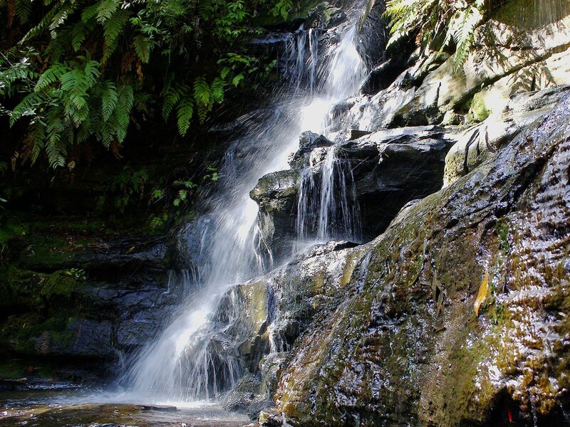 Waterfall in Forest — Green, Serene, Afternoon, Photograph, Rocks, Ferns