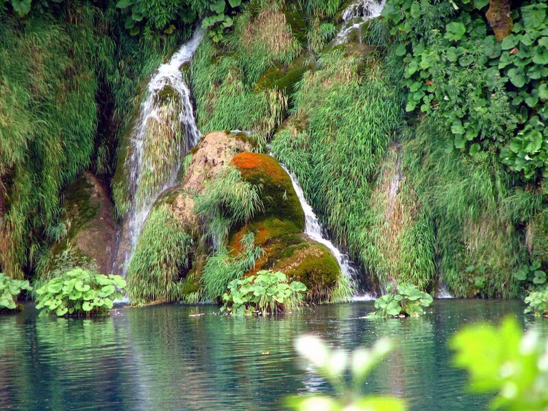 Waterfall in Forest — Green, Serene, Afternoon, Photograph, Rocks, Moss, Plants