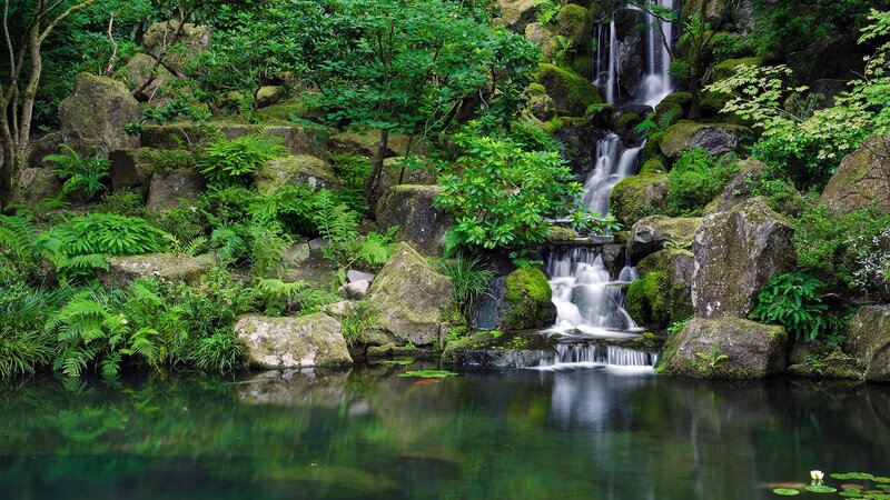 Waterfall in Forest — Green, Serene, Afternoon, Photograph, Rocks, Plants, Pond, Brown
