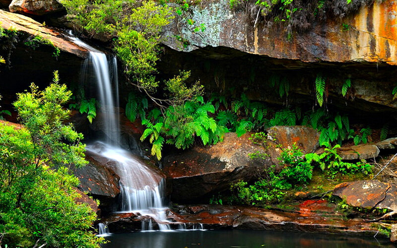 Waterfall in Forest — Green, Serene, Afternoon, Photograph, Rocks, Plants, Pool