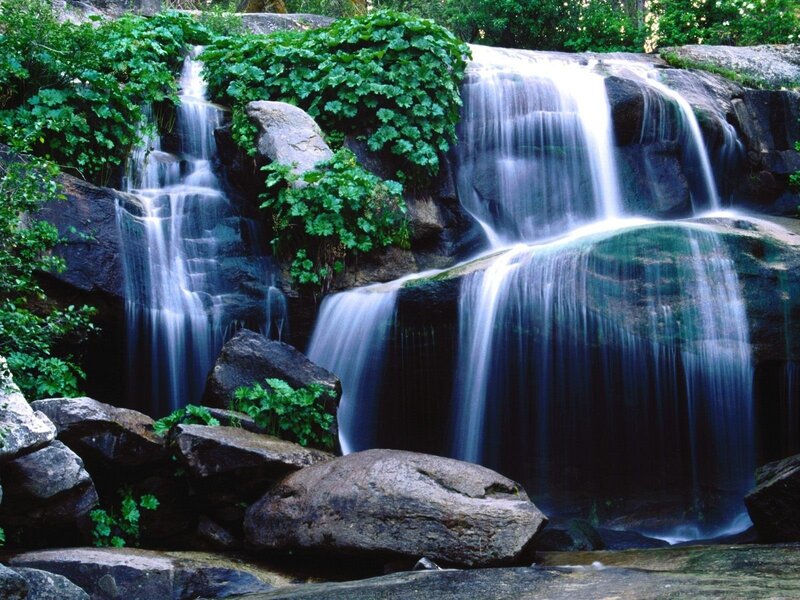 Waterfall in Forest — Green, Serene, Afternoon, Photograph, Rocks, Plants, Stream