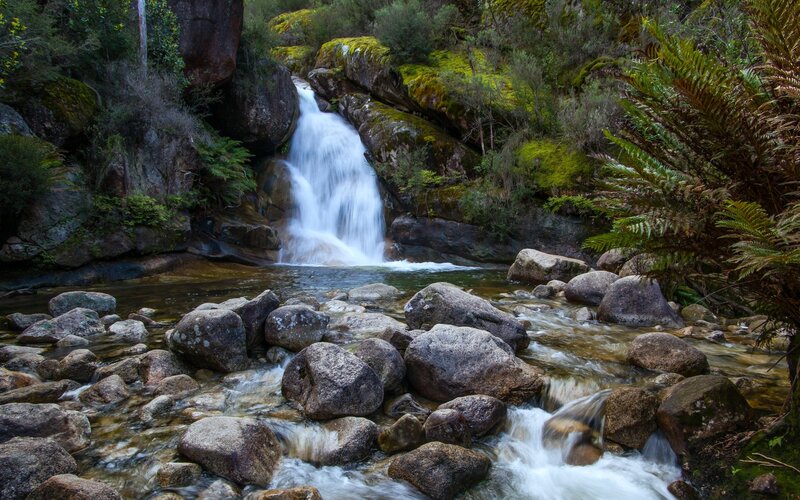 Waterfall in Forest — Green, Serene, Afternoon, Photograph, Rocks, Stream, Moss, Ferns