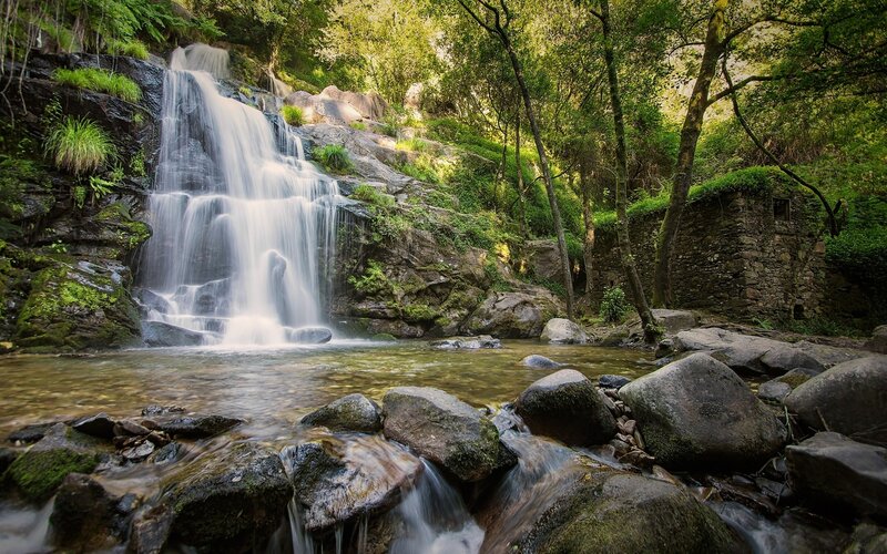 Waterfall in Forest — Green, Serene, Afternoon, Photograph, Rocks, Stream, Ruins