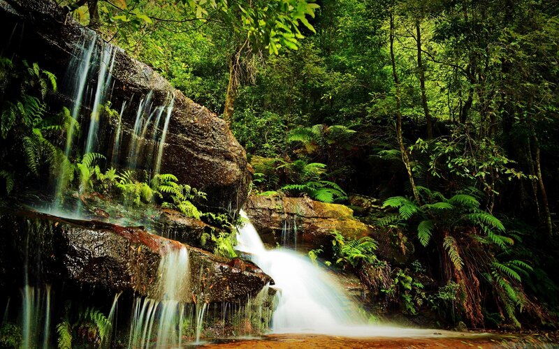 Waterfall in Forest — Green, Serene, Afternoon, Photograph, Rocks, Trees, Ferns