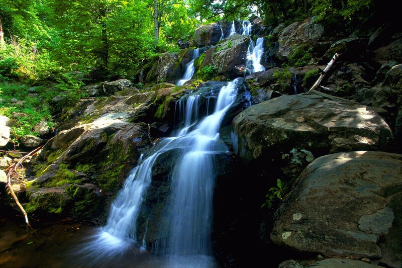 Waterfall in Forest — Green, Serene, Afternoon, Photograph, Rocks, Trees, Moss, Blue