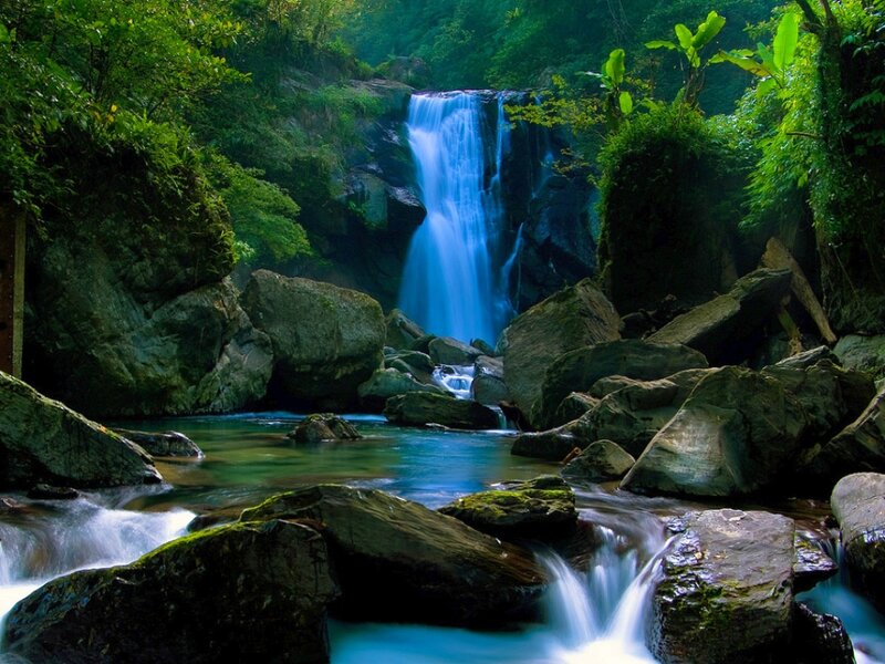 Waterfall in Forest — Green, Serene, Afternoon, Photograph, Rocks, Trees, Stream, Blue