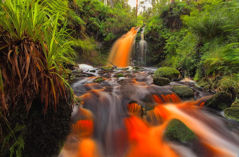 Waterfall in Forest — Green, Serene, Afternoon, Photograph, Stream, Rocks, Ferns