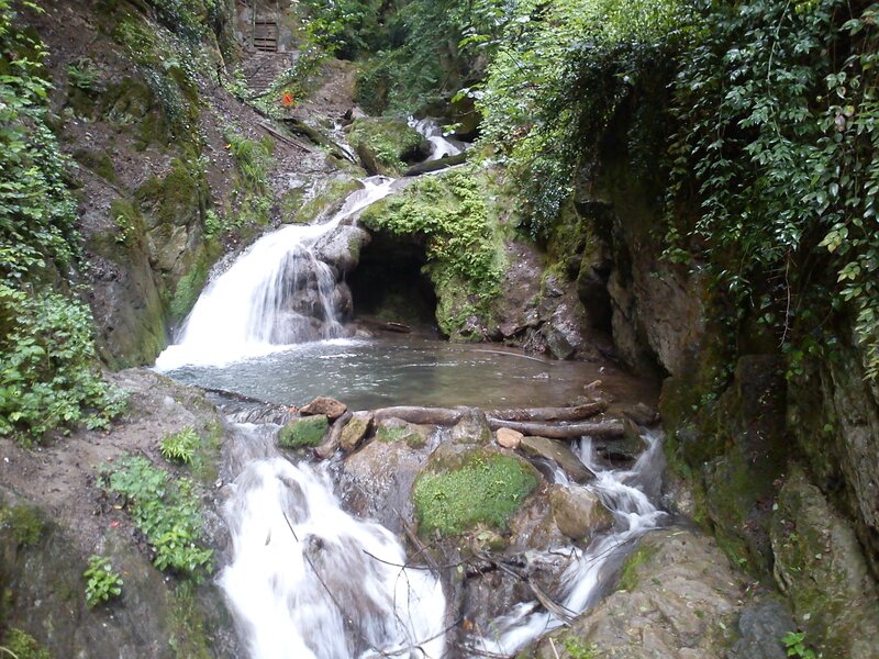 Waterfall in Forest — Green, Serene, Afternoon, Photograph, Stream, Rocks, Trees, Brown