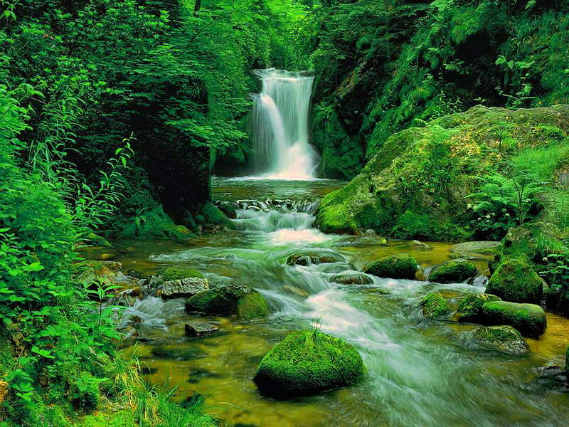 Waterfall in Forest — Green, Serene, Afternoon, Photograph, Stream