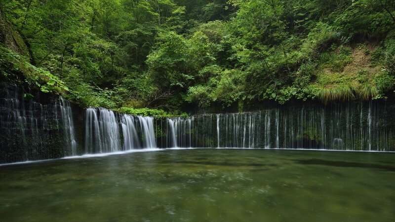 Waterfall in Forest — Green, Serene, Afternoon, Photograph, Stream, Trees