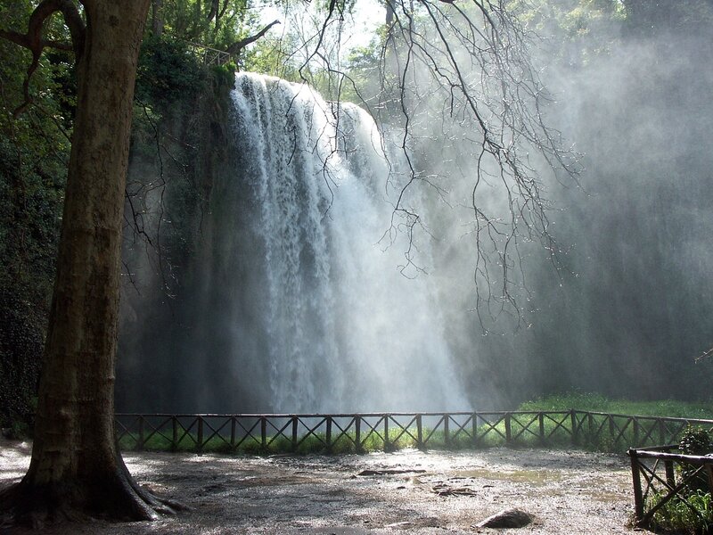 Waterfall in Forest — Green, Serene, Afternoon, Photograph, Tree, Fence