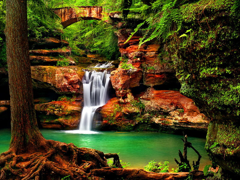 Waterfall in Forest — Green, Serene, Afternoon, Photograph, Tree, Pool