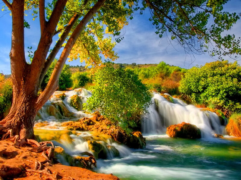 Waterfall in Forest — Green, Serene, Afternoon, Photograph, Tree, River
