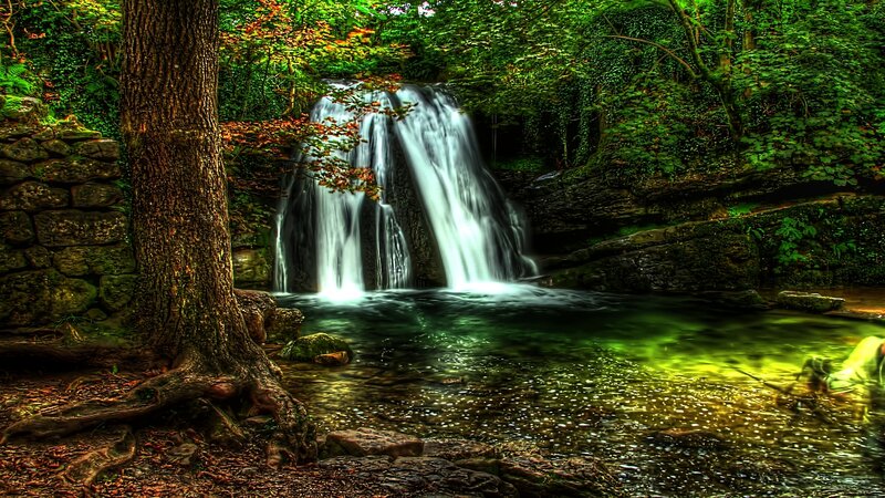 Waterfall in Forest — Green, Serene, Afternoon, Photograph, Tree