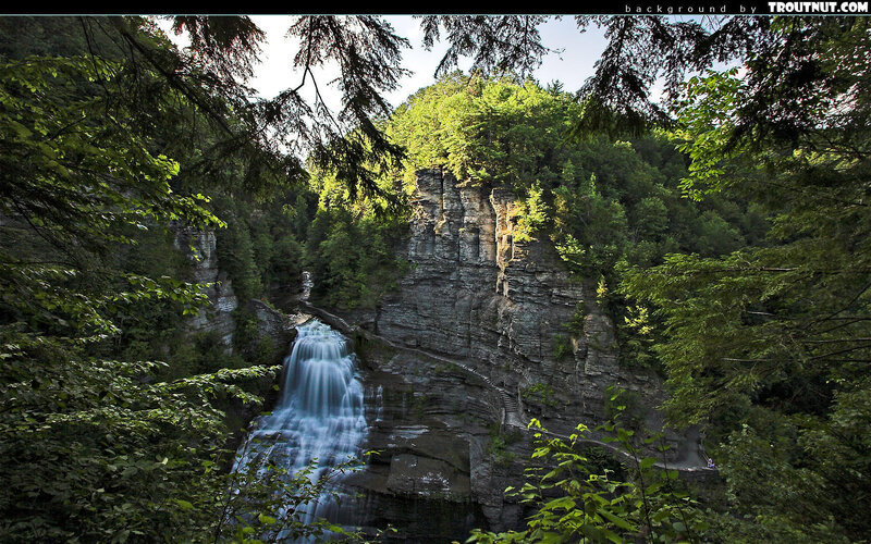 Waterfall in Forest — Green, Serene, Afternoon, Photograph, Trees, Cliff, Path, Person