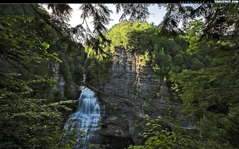 Waterfall in Forest — Green, Serene, Afternoon, Photograph, Trees, Cliff, Path
