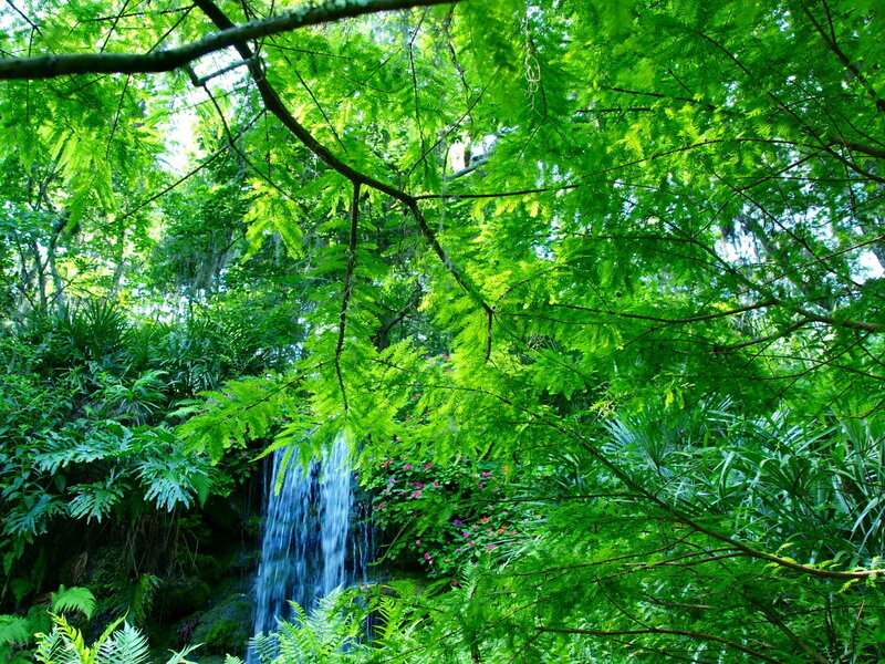 Waterfall in Forest — Green, Serene, Afternoon, Photograph, Trees, Flowers, Moss