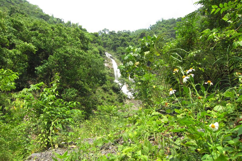Waterfall in Forest — Green, Serene, Afternoon, Photograph, Trees, Flowers, Rocks