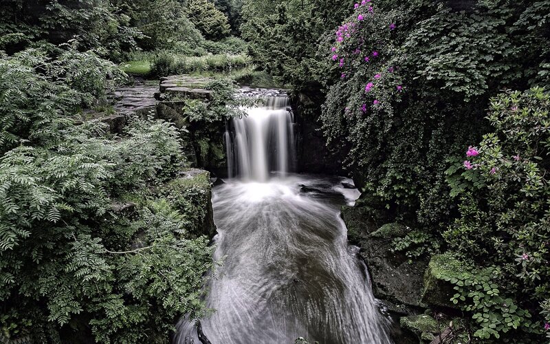 Waterfall in Forest — Green, Serene, Afternoon, Photograph, Trees, Flowers, Rocks, White