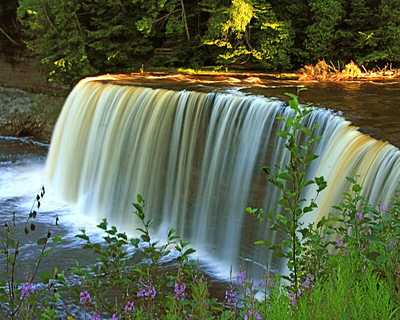Waterfall in Forest — Green, Serene, Afternoon, Photograph, Trees, Flowers