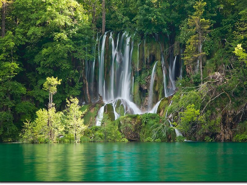 Waterfall in Forest — Green, Serene, Afternoon, Photograph, Trees, Lake, Moss, Blue